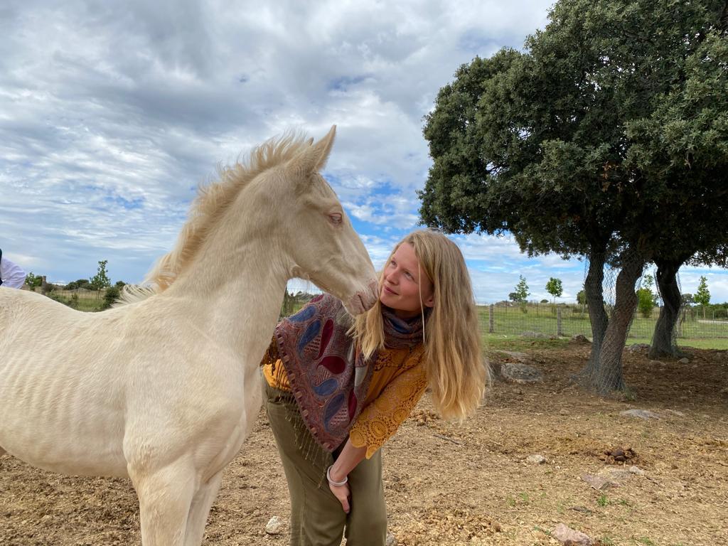 The healing field of horses La Perla